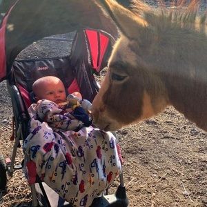 Meet your Posher, Melissa